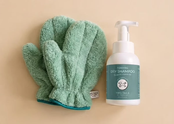 Dry Shampoo + Gloves Bundle