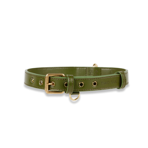 Cactus Leather Collar - Green