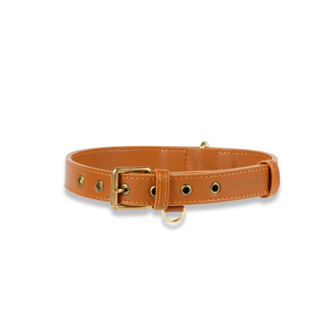 Cactus Leather Collar - Caramel