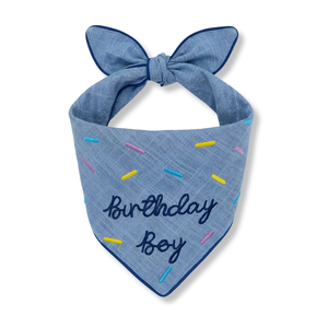Birthday Boy Dog Bandana
