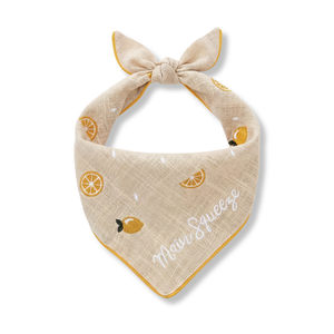 Main Squeeze Dog Bandana