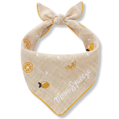 Main Squeeze Dog Bandana