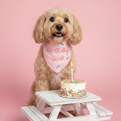 Birthday Girl - Bandana