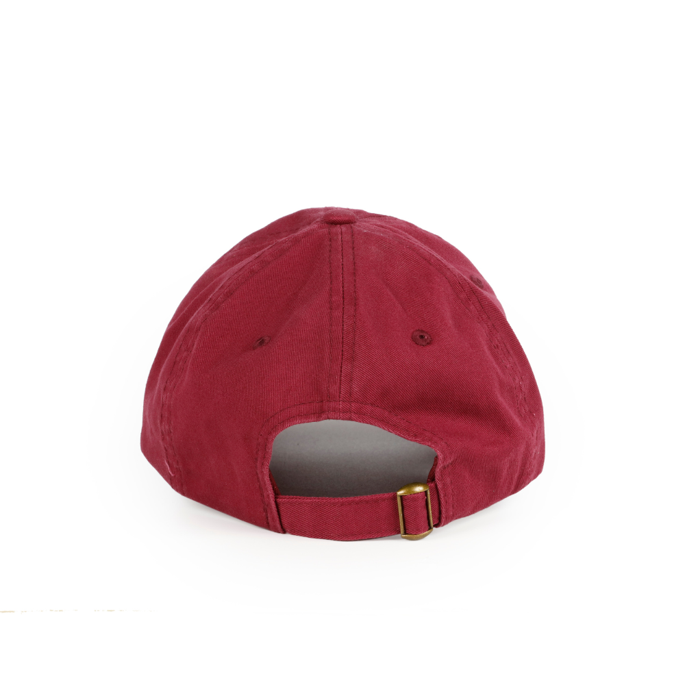 Girls Just Wanna Have Dogs - Hat