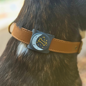 Zodiac Airtag Holder for Dog Collars