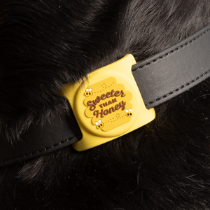 Sweeter than Honey Airtag Holder for Dog Collars