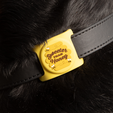 Sweeter than Honey Airtag Holder for Dog Collars
