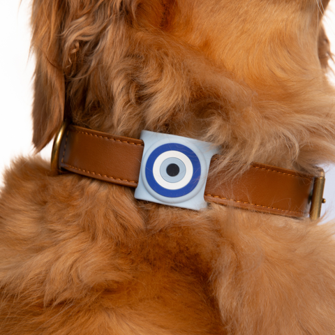 Evil Eye Airtag Holder for Dog Collars