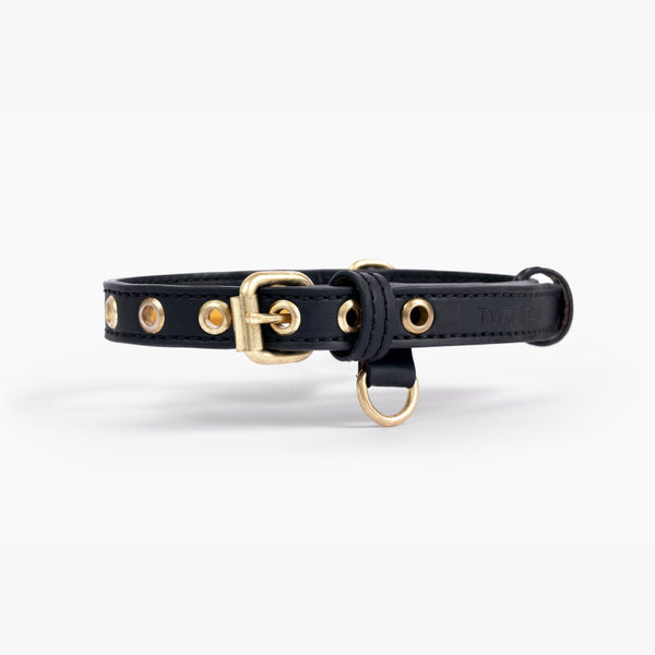 Two Tags + Two Collars Bundle
