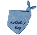 Birthday Boy - Bandana