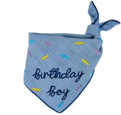 Birthday Boy - Bandana
