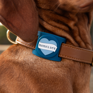 Mama's Boy Airtag Holder for Dog Collars