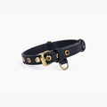 Cactus Leather Collar for Bundle