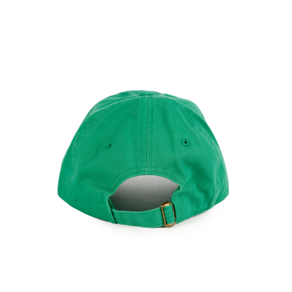 Anti-Social Dog Mom Club - Hat