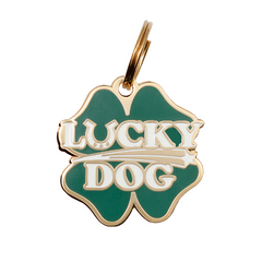 Lucky Dog Pet ID Tag