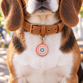 Americana Pet ID Tag