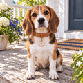 Americana Pet ID Tag