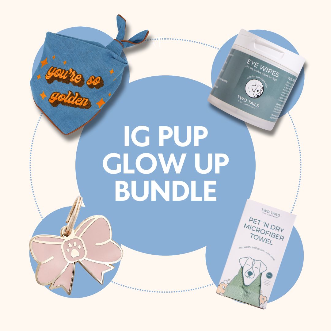 IG Pup Glow Up Bundle