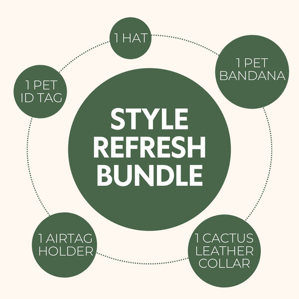 Style Refresh Bundle
