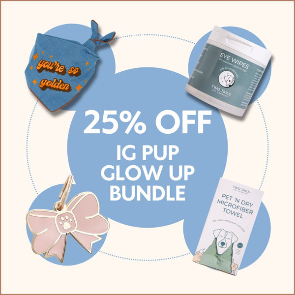 IG Pup Glow Up Bundle