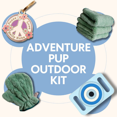 Adventure Pup Outdoor Bundle