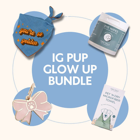 IG Pup Glow Up Bundle