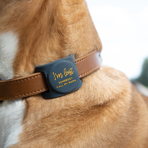 I'm Lost, Somebody Call My Mama Airtag Holder for Dog Collars