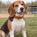 Baseball Pet ID Tag