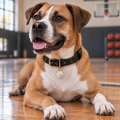 Basketball Pet ID Tag