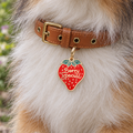 Berry Special Pet ID Tag