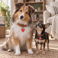 Berry Special Pet ID Tag