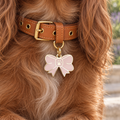Bow Pet ID Tag