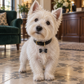 Bowtie Pet ID Tag
