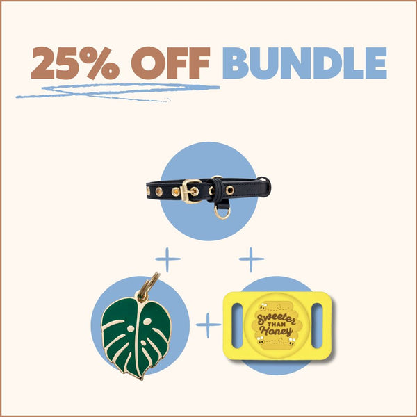 1 Tag + 1 Collar + 1 Airtag Holder Bundle