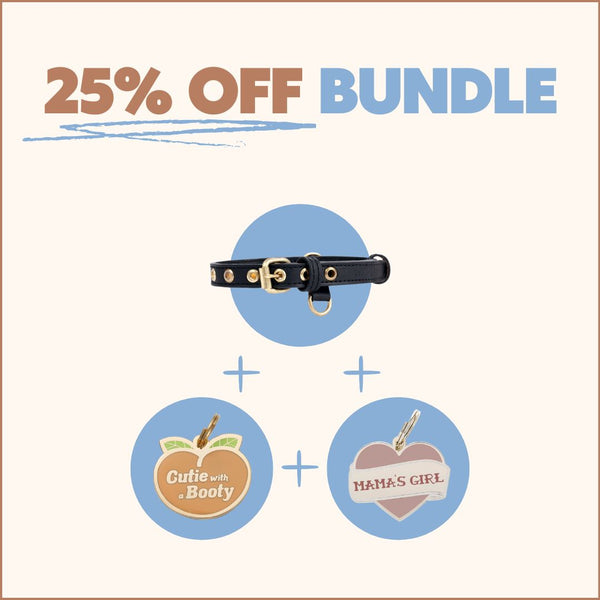 Two Tags + One Collar Bundle