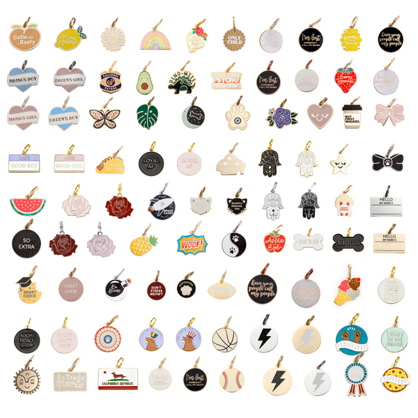 New Pet Parent Starter Kit