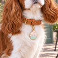 Cupcake Pet ID Tag