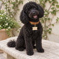 Cute But Psycho Pet ID Tag