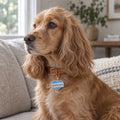 Daddy's Boy Pet ID Tag