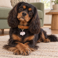 Daddy's Girl Pet ID Tag