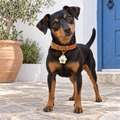 Evil Eye Paw Pet ID Tag