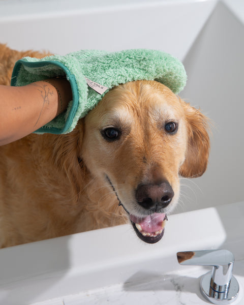 Pet N' Dry Microfiber Gloves