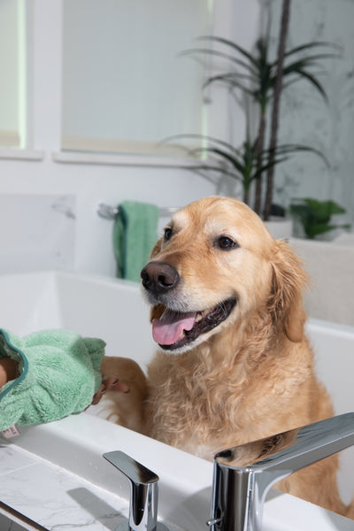 Pet N' Dry Microfiber Gloves