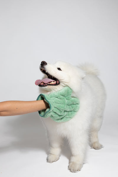 Pet N' Dry Microfiber Gloves