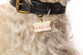 Cute But Psycho Pet ID Tag