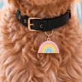 Rainbow Pet ID Tag