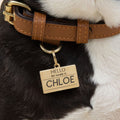 Hello My Name is Blank - Gold - Pet ID Tag