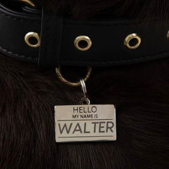 Hello My Name is Pet ID Tag