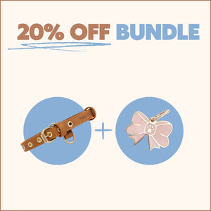 One Tag + One Collar Bundle