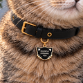 Silently Judging You Pet ID Tag